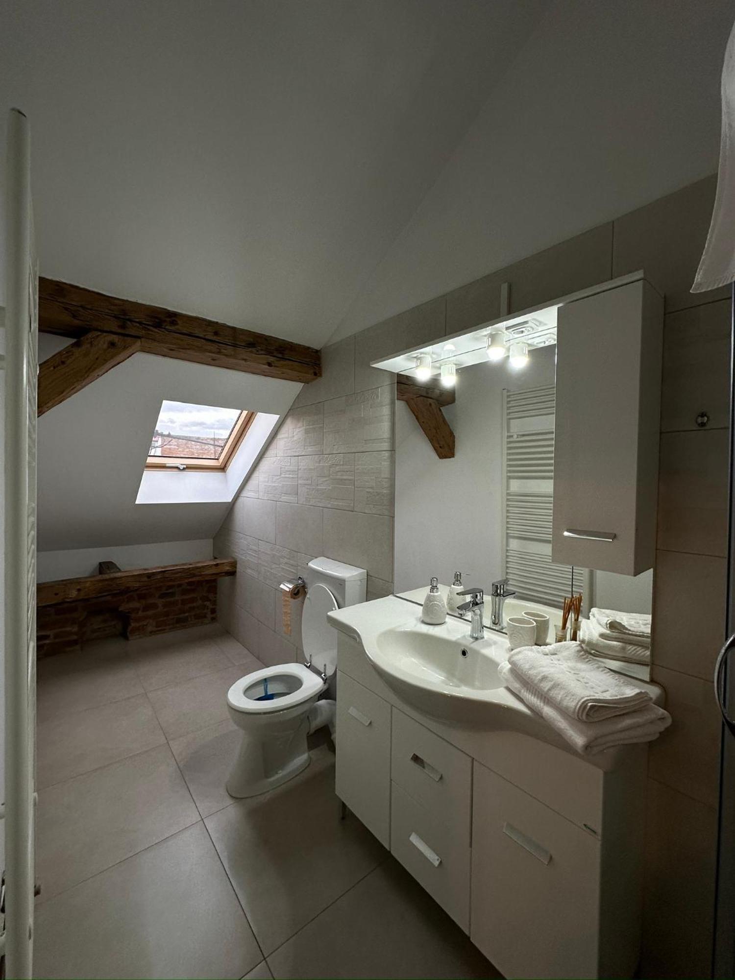 Antique Aparthotel Alba Iulia Exteriör bild